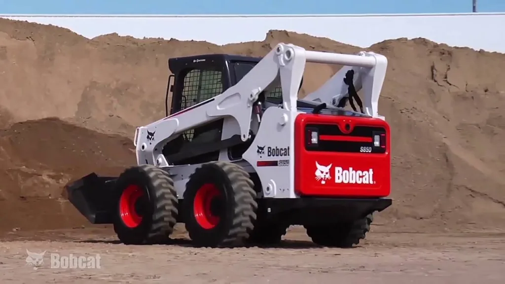bobcat